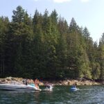 2 Hour Chartered Boat Tour from Deep Cove North Vancouver - An In-Depth Look at the Experience
