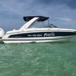 2 hour Dolphin Tours - Meeting Points and Practical Details