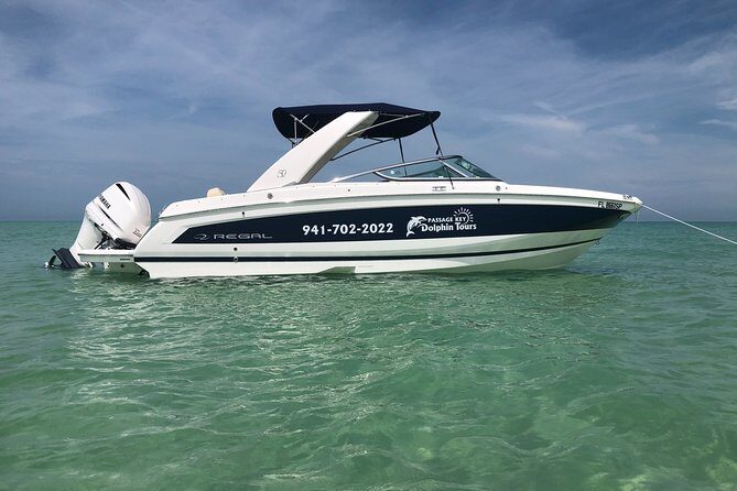 2 hour Dolphin Tours - Meeting Points and Practical Details