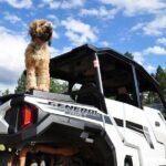 2 Hour Guided UTV Tour in Woodland Park - Practical Tips for Participants