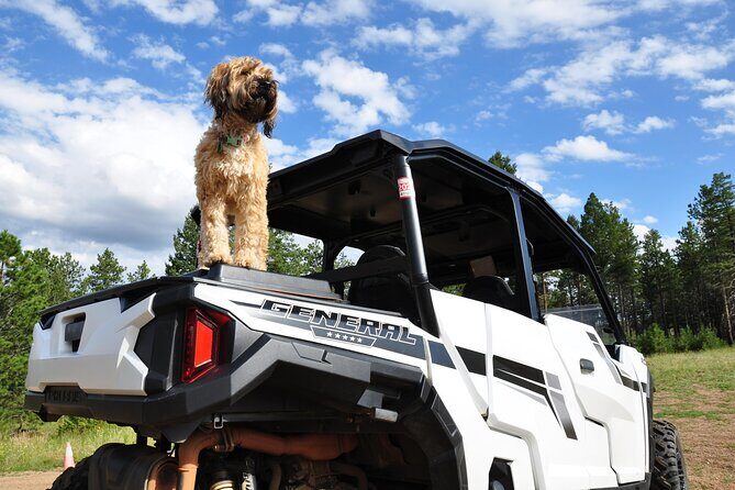 2 Hour Guided UTV Tour in Woodland Park - Practical Tips for Participants