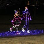 2 Hour Holiday Lights and Cheer Driving Tour - Who Should Consider This Tour?