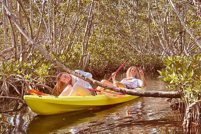 2 Hour Key West Kayak Rental  Discover Mangroves & Wildlife! - FAQs