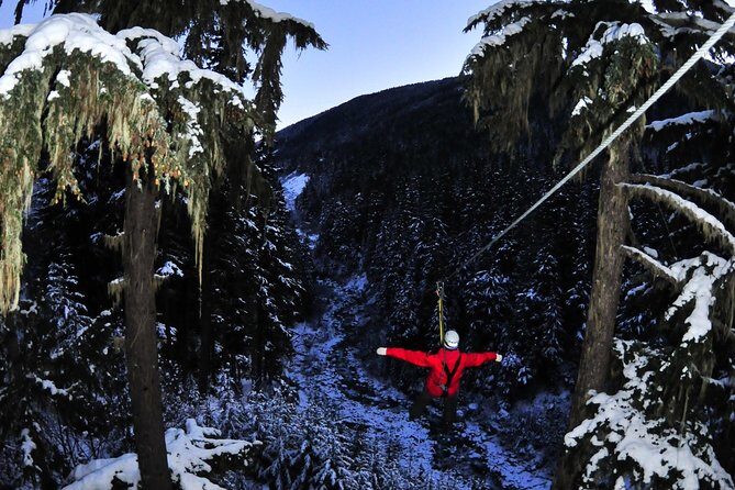 2 Hour Late Afternoon Winter Zipline Adventure - Why This Tour Is a Hit: Authenticity and Adventure