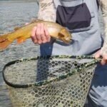 2 Hour Private Guided Walk Wade Fishing at Jackson Hole - The Value of a Guided Wade Fishing Trip