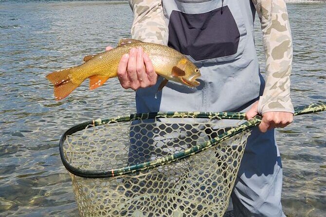 2 Hour Private Guided Walk Wade Fishing at Jackson Hole - The Value of a Guided Wade Fishing Trip