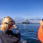 2 Hour Private Marine Wildlife Tour - What Makes the Guides Stand Out?