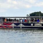 2 Hours Dolphin Eco Tour - What to Expect on the Tour