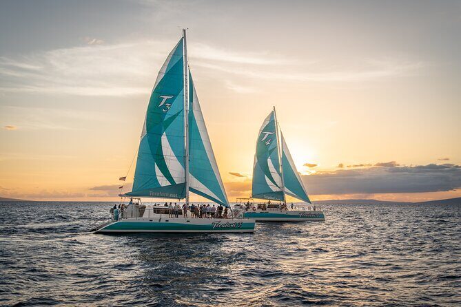 2 Hours Holo Holo Sunset Cocktail Sail with Open Bar - The Itinerary: A Visual and Gustatory Feast