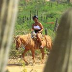 2 Hours Horseback Riding Adventure in Cabo - Value and Pricing Analysis