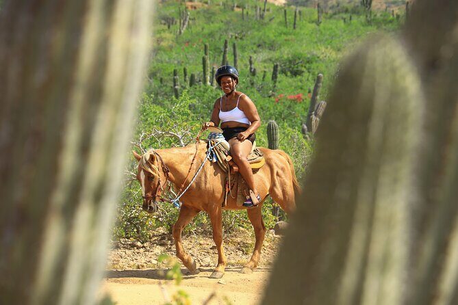 2 Hours Horseback Riding Adventure in Cabo - Value and Pricing Analysis