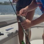 2 Hours Miami Private Fishing Experience - Why This Tour Might Be Perfect for You