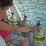 2 Tank Boat Dives for Certified Divers - Analyzing the Value: Is This Tour Worth It?