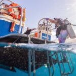 2-Tank Dive Featuring the Molokini Crater - Practical Details and Tips