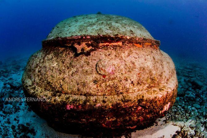 2 Tank Dives MUSA and Manchones reef (Certified divers) - What Makes It Special?