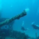 2 Tank Reef Dive in Mexico - The Sum Up: Who Is This Tour Best For?