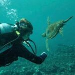 2 Tank Shore Dive at Sea Turtle Cove - Why This Tour Stands Out