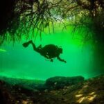 2 tanks Cenote Diving Adventure in Tulum for Certified Divers - The Itinerary: A Closer Look