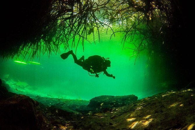 2 tanks Cenote Diving Adventure in Tulum for Certified Divers - The Itinerary: A Closer Look