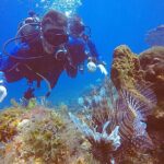 2 Tanks Scuba Diving in Punta Cancun Reefs for Certified Divers - The Experience: What to Expect from This Tour