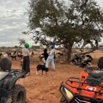 2Hours DE Quad + Comedy EN Tour and Crocoparc Tour - What to Expect from Each Segment