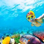 2x1 Tour: Isla Contoy, Isla Mujeres, Open Bar, Lunch and Transfers - Lunch and the Open Bar: A Well-Deserved Break