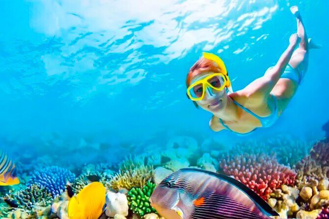 2x1 Tour: Isla Contoy, Isla Mujeres, Open Bar, Lunch and Transfers - Lunch and the Open Bar: A Well-Deserved Break