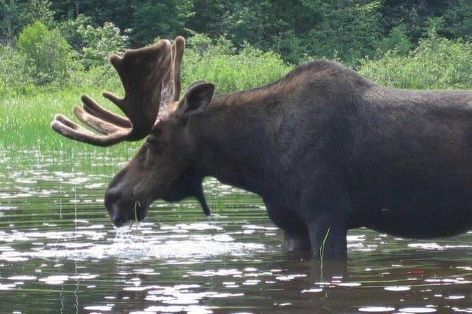 3-Day Algonquin Park Canoe Trip - What’s Included and What’s Not