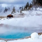 3 Day Yellowstone, Grand Teton Winter Discovery Small Group Tour - Exploring Yellowstone in Winter – A Unique Perspective