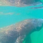 3-Hour Clear Kayak Beach Hopping Adventure in Sarasota - The Sum Up: Who Will Get the Most Out of This Experience?