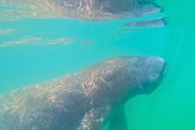 3-Hour Clear Kayak Beach Hopping Adventure in Sarasota - The Sum Up: Who Will Get the Most Out of This Experience?