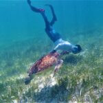3 Hour Costa Maya Snorkeling Excursion - La Leyenda ECO-TOURS - Real Experiences from Travelers