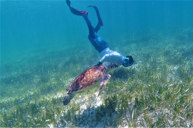 3 Hour Costa Maya Snorkeling Excursion - La Leyenda ECO-TOURS - Real Experiences from Travelers