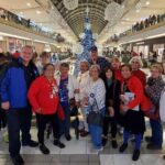 3 Hour December Holiday Lights Tour - What Do Travelers Say?