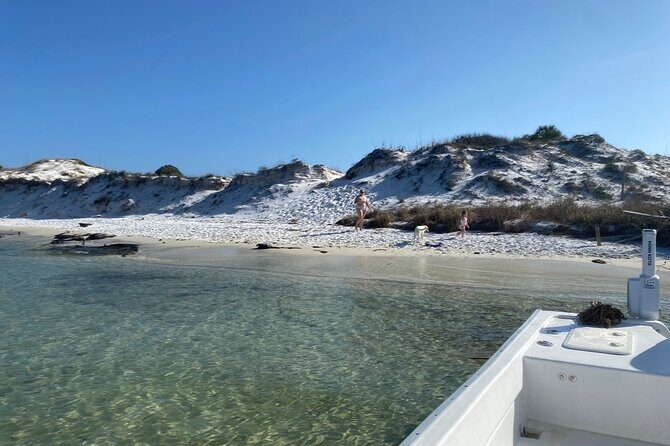 3 Hour Dolphin Tour - The Sum Up: Is This the Right Choice?