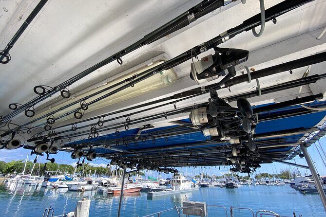 3-Hour Honolulu Bottom Fishing Adventure - Practical Details & Tips