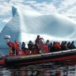 3 Hour Ocean Safari by Zodiac Boat -Whales & Icebergs seasonally - What You Can Expect: A Detailed Breakdown