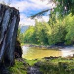 3-Hour Rainforest, Beach & Wildlife Walk - Beaches, Wildlife, and Secluded Spots