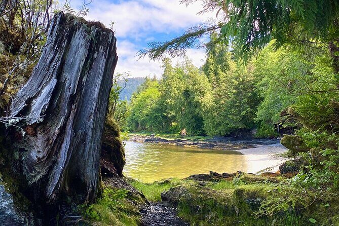 3-Hour Rainforest, Beach & Wildlife Walk - Beaches, Wildlife, and Secluded Spots