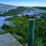 3 Hour Sunset Cruise to Shell Island - Final Thoughts