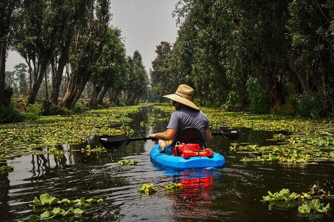 3 Hours of Kayaking at the Ancient Canals of Xochimilco - What to Expect During the Trip