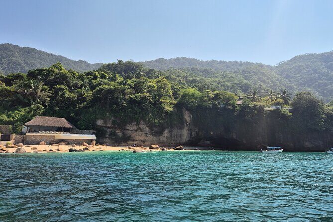 3 hours private snorkeling tour in Misaloya, Puerto Vallarta - Who Will Appreciate This Tour Most?
