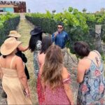 3 or 5 Course Menu + Wine Pairing + Tour @Local Winery - Practical Details for Travelers