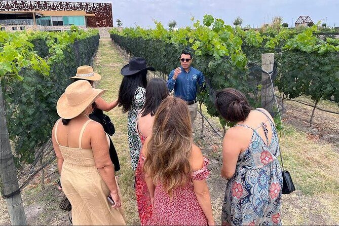 3 or 5 Course Menu + Wine Pairing + Tour @Local Winery - Practical Details for Travelers