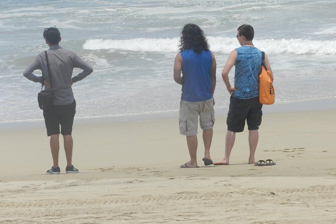 3 Palos Lagoon AfroMex Village Turtle Release & Croc Farm Visit - Why This Tour Is a Great Choice