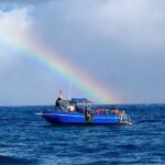 3-Tank Dive Featuring the Molokini Crater - The Underwater Experience