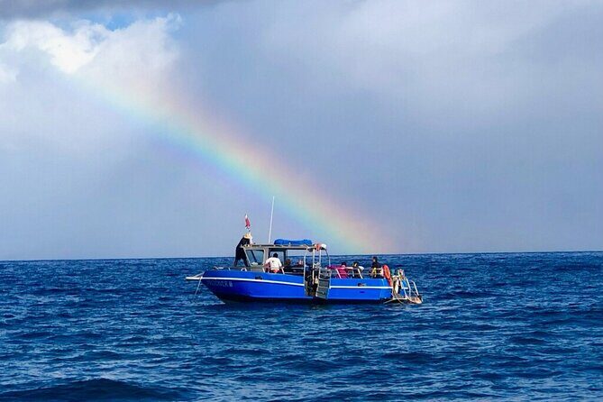 3-Tank Dive Featuring the Molokini Crater - The Underwater Experience