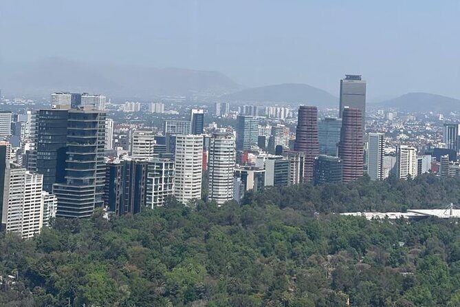 30 min Private Helicopter Tour in Mexico City - Who Will Love This Tour?
