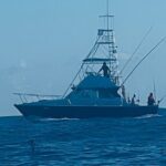 35 foot Bertram 4 Hour Charter - An Honest Look at the 35 Foot Bertram Charter Experience