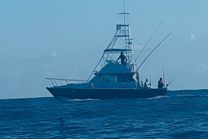 35 foot Bertram 4 Hour Charter - An Honest Look at the 35 Foot Bertram Charter Experience